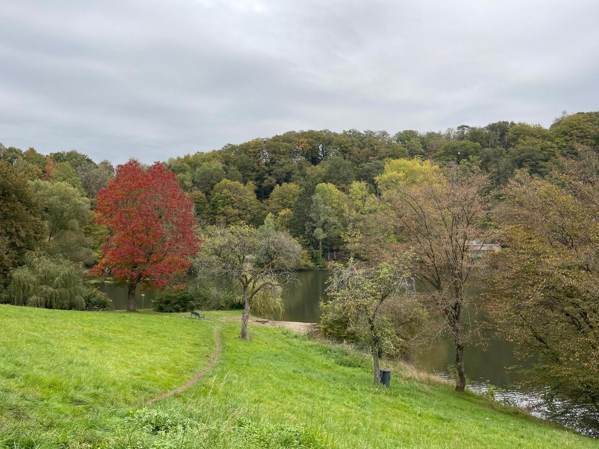 Ritterstube - Eifelstuben Mit Charme, Naehe See Und Burg, Aussergewoehnlich, Vulkaneifel Ulmen ภายนอก รูปภาพ