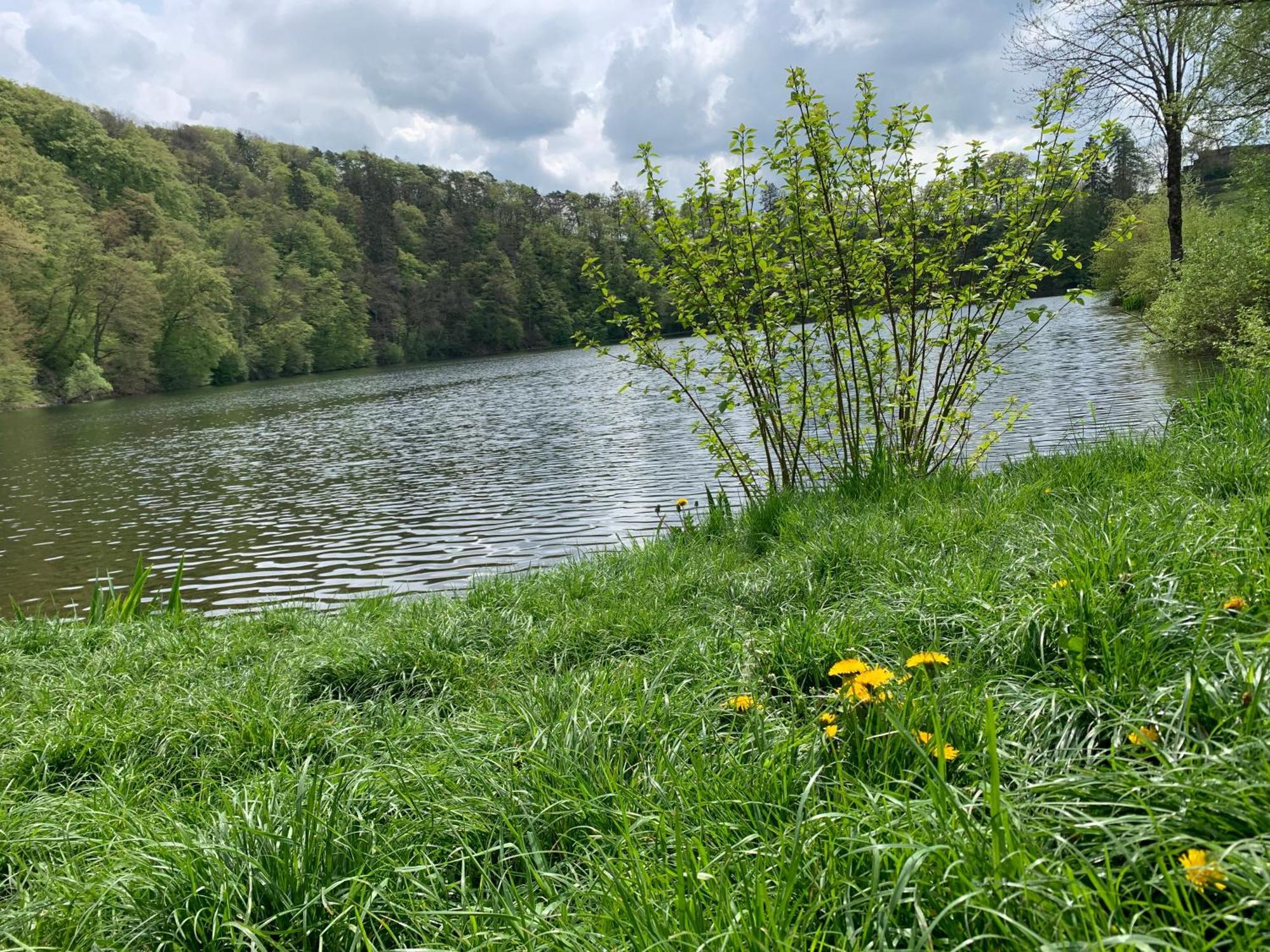 Ritterstube - Eifelstuben Mit Charme, Naehe See Und Burg, Aussergewoehnlich, Vulkaneifel Ulmen ภายนอก รูปภาพ